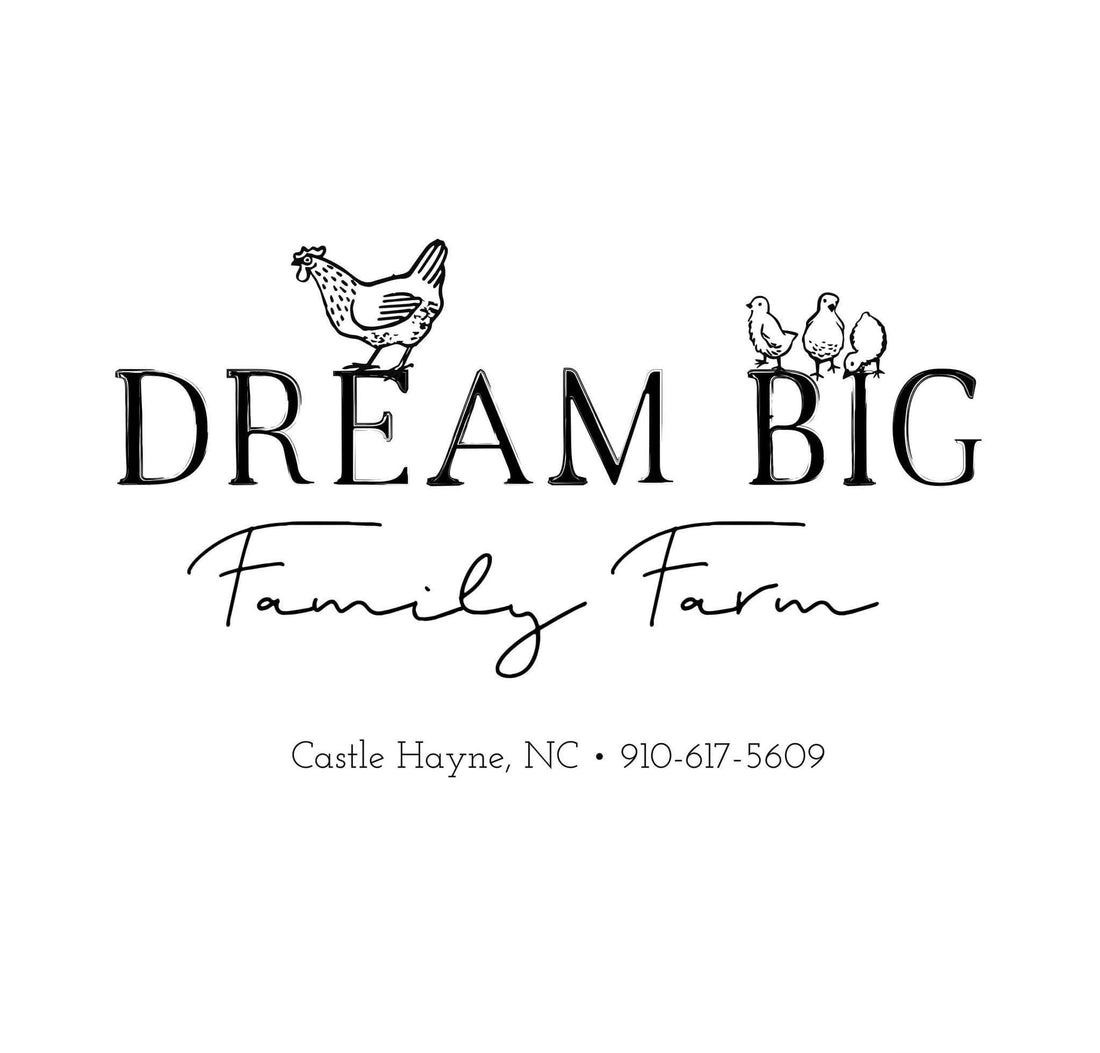 Designed To Flourish: Dream Big Farm
