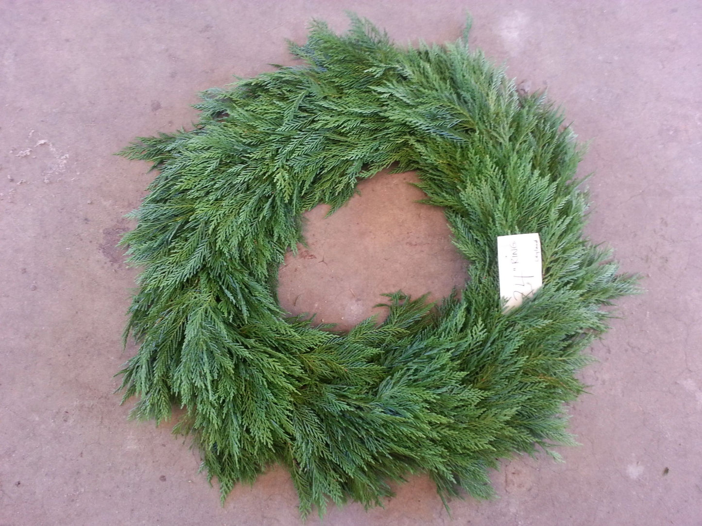 Holiday Wreath Workshop