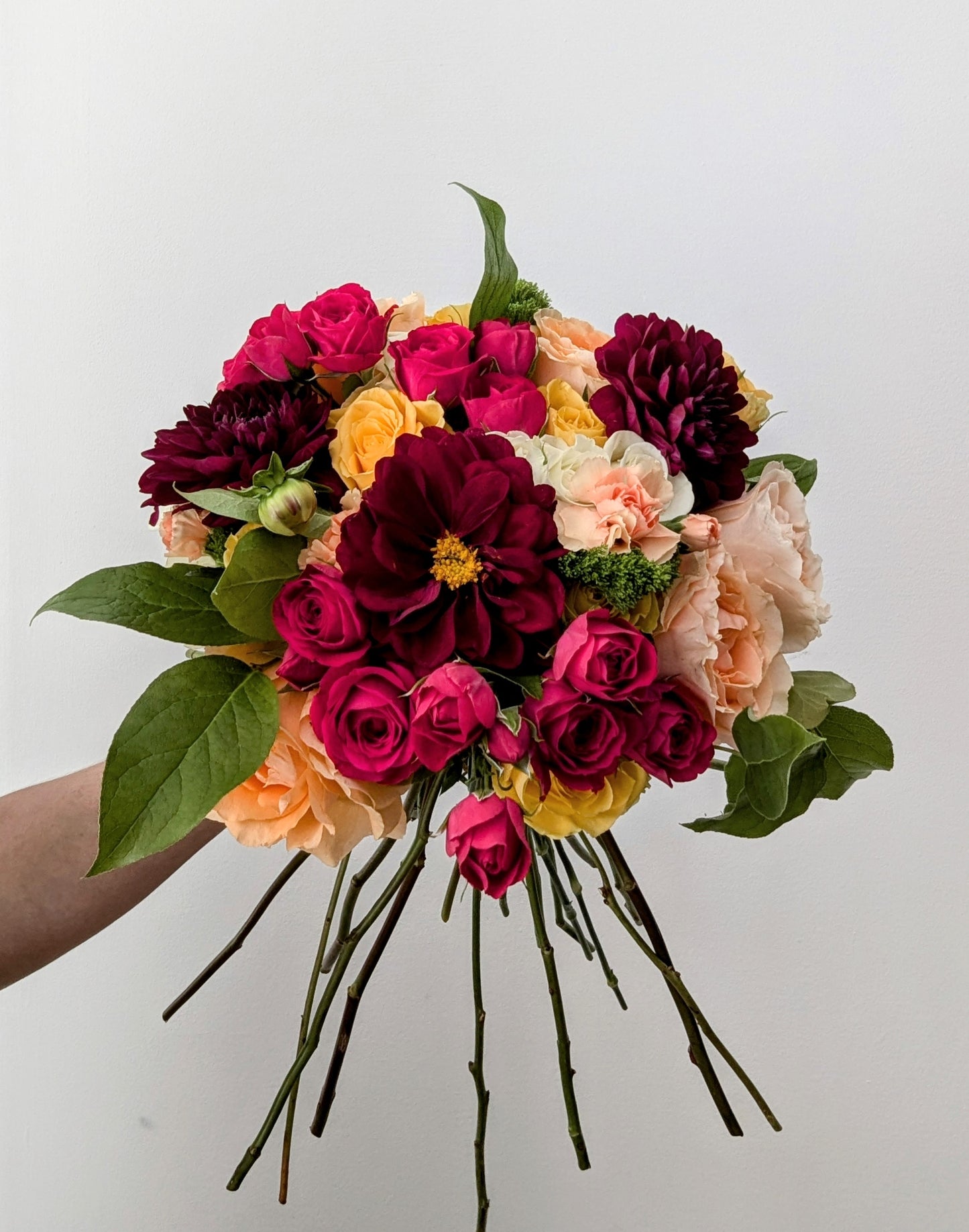 Bloom Bundle